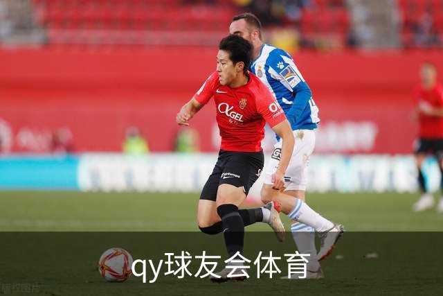 关于qy球友会体育